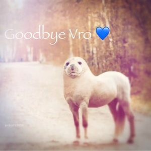 Meet your Posher, Hunter